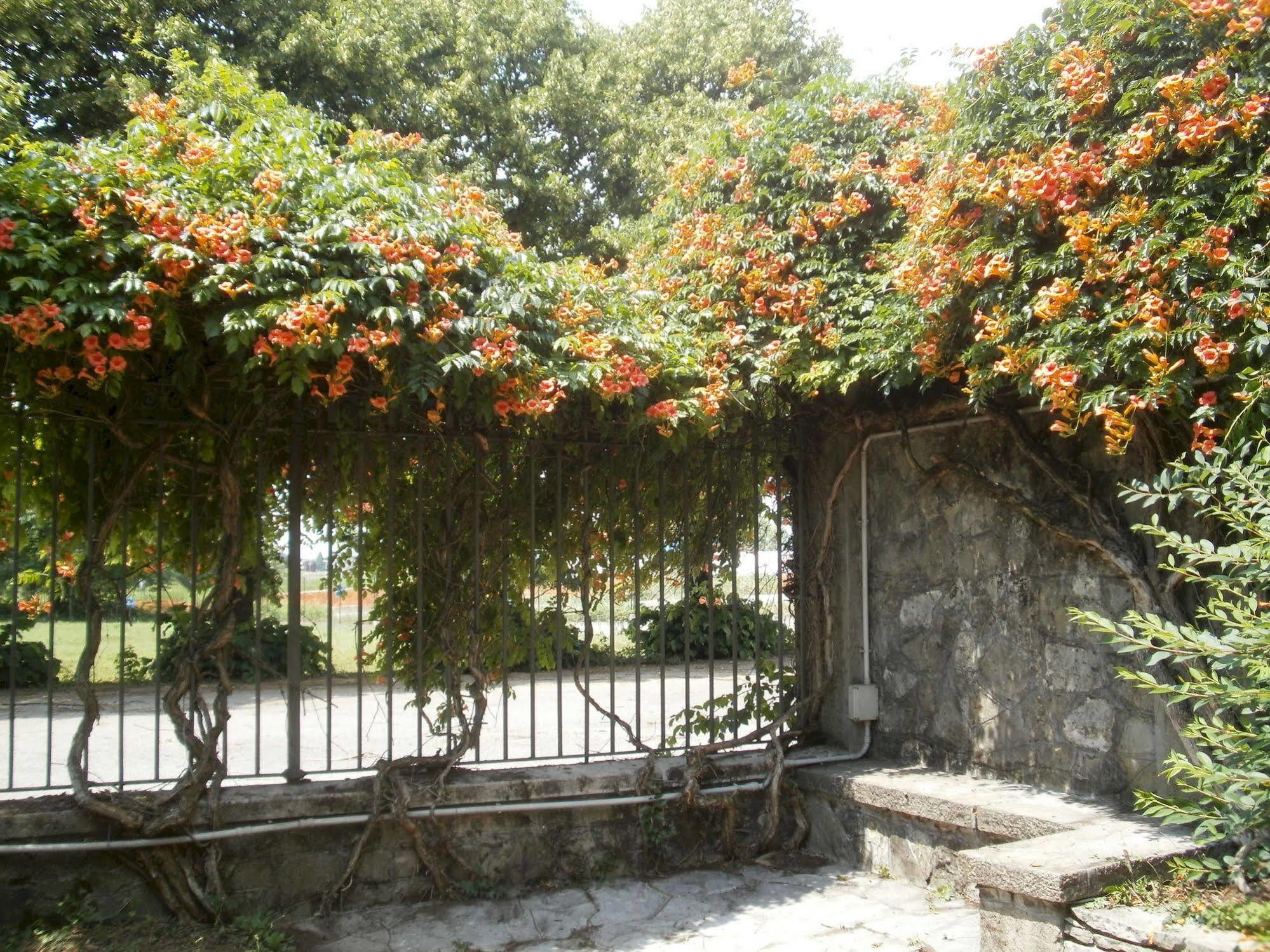 Albergo Villa & Roma Pallazzolo sullʼOglio Exterior foto